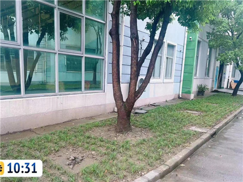 綠化后1_副本_副本.jpg 綠化后1_副本_副本.jpg