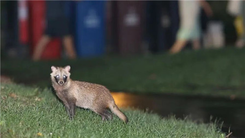 新挑戰(zhàn)2_副本.jpg 新挑戰(zhàn)2_副本.jpg