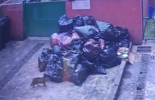 新挑戰(zhàn)3_副本.jpg 新挑戰(zhàn)3_副本.jpg