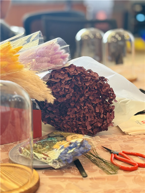 15_副本.jpg 15_副本.jpg