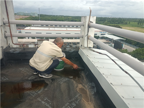 臺(tái)風(fēng)7_副本.jpg 臺(tái)風(fēng)7_副本.jpg